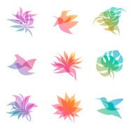 Watercolor nature Elements for design