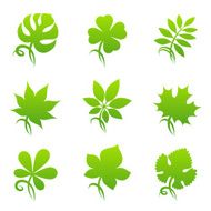 Leaves Elements for design
