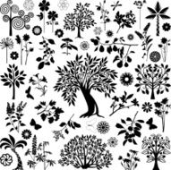 Trees and plants N14