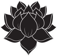 Lotus Silhouette N40