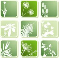 Plants icons N2