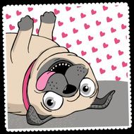 Pug N9