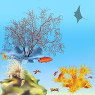 Coral reef - 1