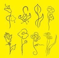flowers Design Set N3