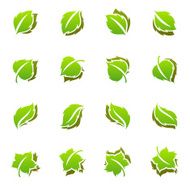 Leaves Elements for design N2