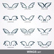 Wings collection N7