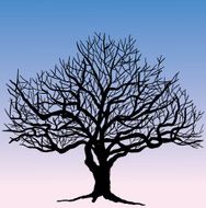 tree sketch silhouette