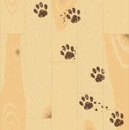 Paw tracks
