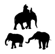 elephants black silhouette on white background vector N2
