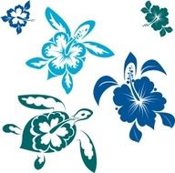 hawaiin turtles
