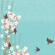 Cherry Blossoms N12