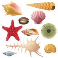 seashell icons