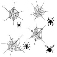 spider net set