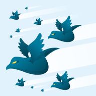 Blue birds storm