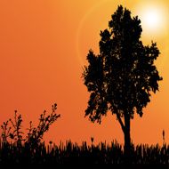 Vector silhouette of tree N52