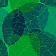 Seamless pattern of leaves N11