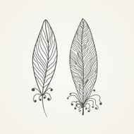 Feathers N54