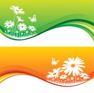 Flower flows