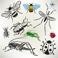 Bugs - Grasshopper Beetle Lady Bug Bumble Bee Mosquito
