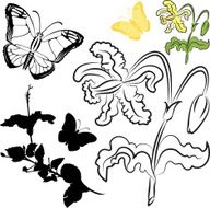 Flower and butterfly N6