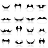 Wings Icon Set N2