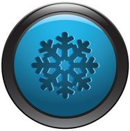 Snowflake button N2