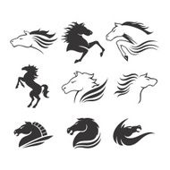 Horses N34