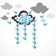 bird and clouds