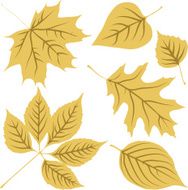 autumn leaves N109