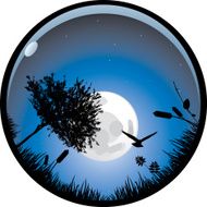Fisheye view night shot