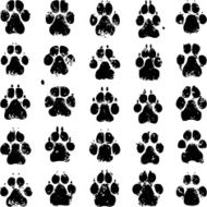 Dog Prints