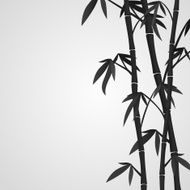 Background with bamboo stems