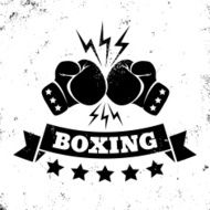 logo for a boxing N2