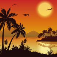 Tropical islands palms flowers and birds N7