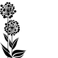 Dandelions N26