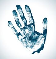 Blue Print of hand N2