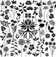 Botany garden