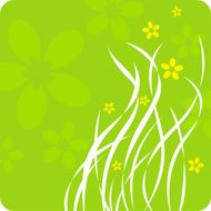 spring N66