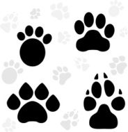 Paws and Claws Print