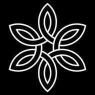 6-point Celtic knot vector illustration for your design N4