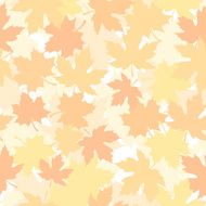 Seamless pattern with autumn maple leaves Vector illustration N6