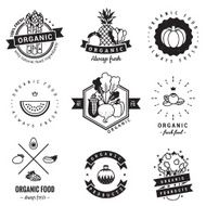 Organic food logo vintage vector set Hipster and retro style