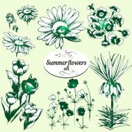 Summer Flowers Set N6