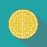 fruits design N47