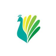 Colored stylized silhouette of a peacock N3