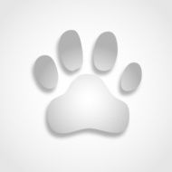 Paw print black color vector