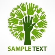 Hands of tree N2