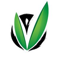 Green leaf zen icon