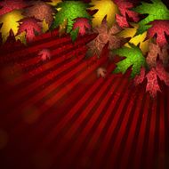 Beautiful autumn background vector illustration EPS 10