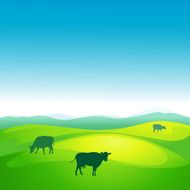 cow grazes in a meadow - vector